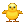 Civciv :civciv: :civciv: