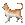 :kedy: