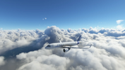 12.webp