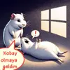IMG-20241130-WA0029.webp