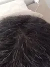 1733771030651.webp