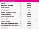 Ekran görüntüsü 2024-12-10 233823.webp