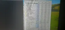 17339486461482286877492180128314.webp