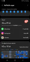 Screenshot_20241212-213936_Digital Wellbeing.webp