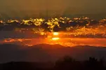 images (12).webp