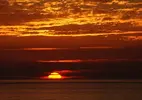 images (13).webp