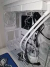 17357295519764592336293666044866.webp