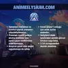 codeanimee_1736608416562.webp