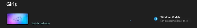 1737818455978.webp
