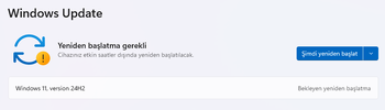 Ekran görüntüsü 2025-01-28 191746.webp