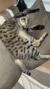 20241017_161114.webp