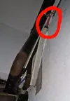 4444444444.webp