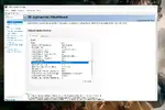 2.webp
