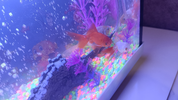 IMG_20250216_193639.webp