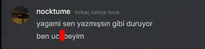 1740431376739.webp