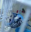 1740850117324.webp