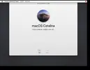 1706333474100.webp