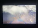 bf1.webp