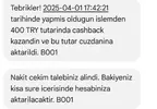 Screenshot_20250403_220044.webp