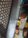 IMG_20250414_004850_848.webp