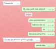 Ekran görüntüsü 2025-04-22 001430.webp