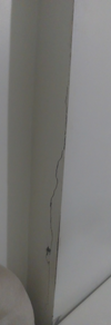 IMG-20250424-WA0001.webp