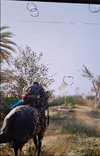 1.webp