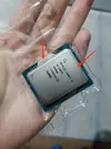 1747080392123.webp