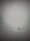 1747381303091.webp