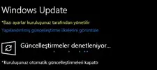 1.webp