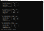 4.webp