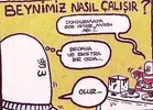 imagesaa.webp