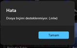 Ekran görüntüsü 2025-06-07 004917.webp