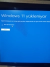 17503577368538331998692362959569.webp
