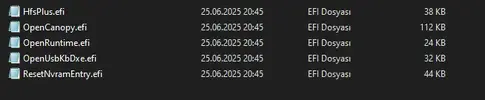 1750874234398.webp