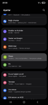 Screenshot_20250627_223301_Settings.webp