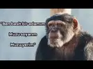images.webp