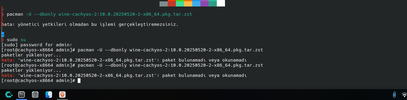 Ekran Görüntüsü_20250706_004117.webp