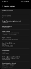 Screenshot_20250708-161900_Settings.webp