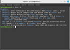 alloo.webp