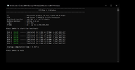 pyp2.webp