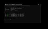 3.webp
