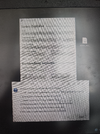 17537770210754705532292187017165.webp
