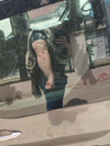 IMG_20250510_125418.webp