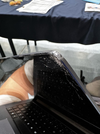 l1p.webp