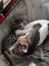 1755795662667.webp