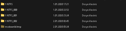 file_1.webp