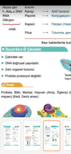 Screenshot_20250831_213322_Trendyol.webp