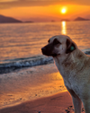 20230224_183846-01.webp