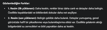 1756887338172.webp